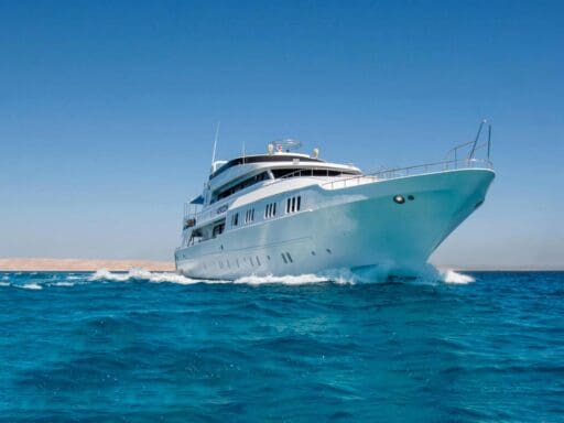 Master Liveaboards now in the Red Sea and Maldives