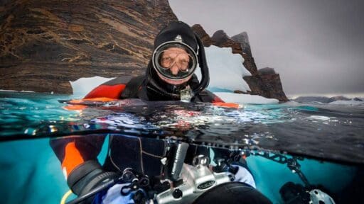 David Doubilet - Underwater Photographer