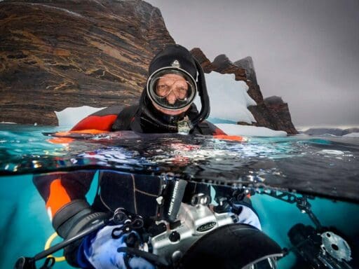 David Doubilet - Underwater Photographer