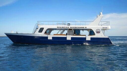 Maldives Aggressor II - Diver loses leg