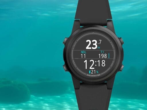 Shearwater Tern Dive Computer