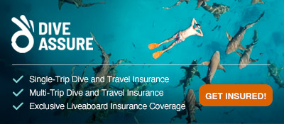 Dive Assure - Scuba Diving and Dive Travel Insurance