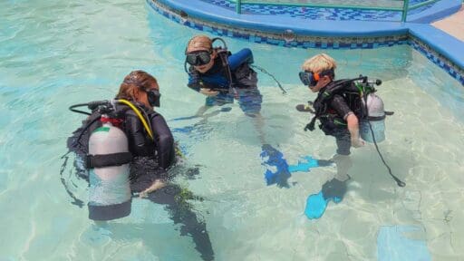 Encouraging kids to dive