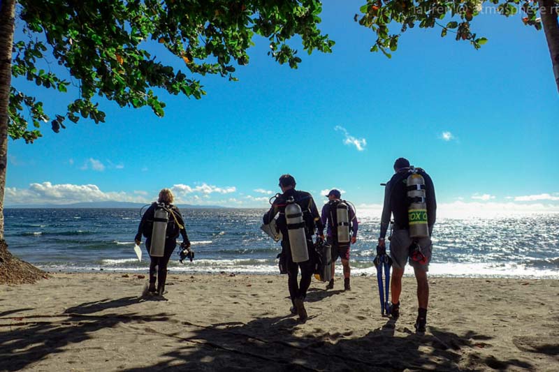 Atmosphere Resort - Diving on the house reef