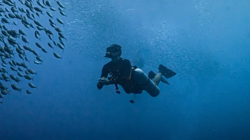 Elba Sidemount Festival 2026: Diving, CCR Demos and Tech Workshops in Italy