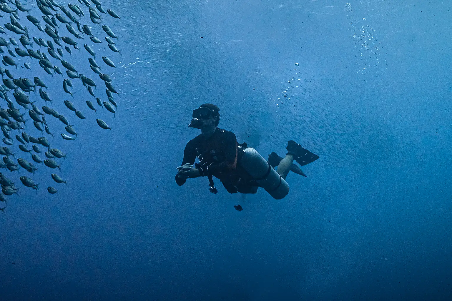 Elba Sidemount Festival 2026: Diving, CCR Demos and Tech Workshops in Italy