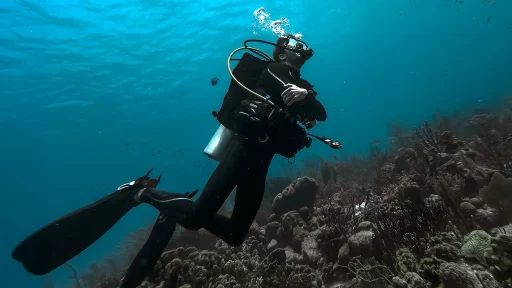 Red Sea Diving Update: What Gulf Escalation Means for Egypt’s Dive Industry