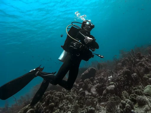 Red Sea Diving Update: What Gulf Escalation Means for Egypt’s Dive Industry