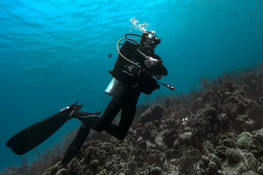 Red Sea Diving Update: What Gulf Escalation Means for Egypt’s Dive Industry