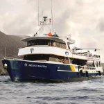 Mexico Master Liveaboard (aka Solmar V)