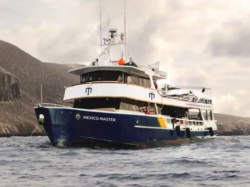 Mexico Master Liveaboard (aka Solmar V)